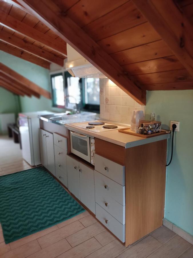 Kristi'S Homes - "Beautiful Attic" In Dimitsana Dış mekan fotoğraf